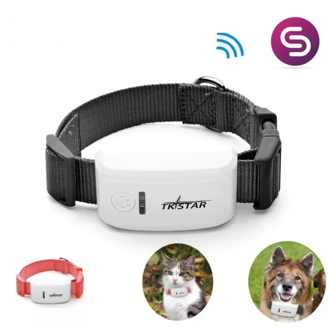 Mini Rastreador GPS para Perro Mascotas con Cuello GSM/GPRS Posicionamiento Seguimiento en Tiempo Real 1 pieza