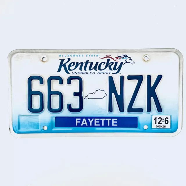 2006 United States Kentucky Fayette County Passenger License Plate 663 NZK