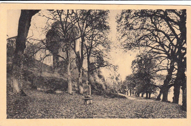 MONT-SAINT-JEAN castle and centenary trees stamped
