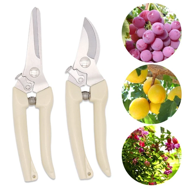 Ciseaux de jardin Outils à main Outil de greffage de jardin Pruneur greffage