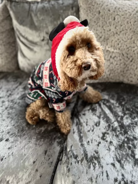 Primark family PET/ DOG matching Disney outfit pyjamas  Christmas party M