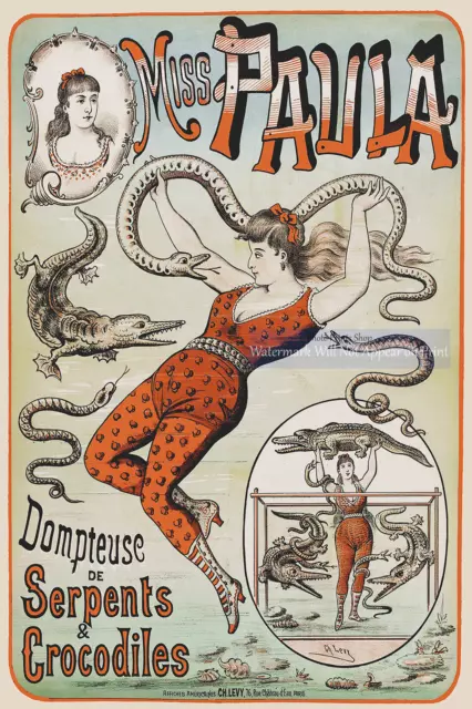 Miss Paula Serpents & Crocodiles Circus Sideshow Poster, Vintage Wall Art Poster