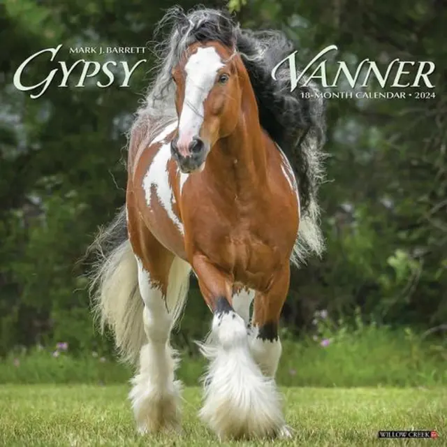 Gypsy Vanner Horse 2024 12 X 12 Wall Calendar by Willow Creek Press