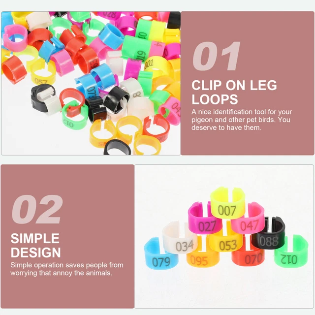 300 pcs pigeon foot birds band bands sonnets en plastique piggeon bands de pied