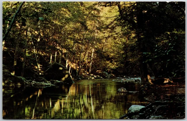 Pfeiffer Big Sur State Park, Big Sur River, California - Postcard
