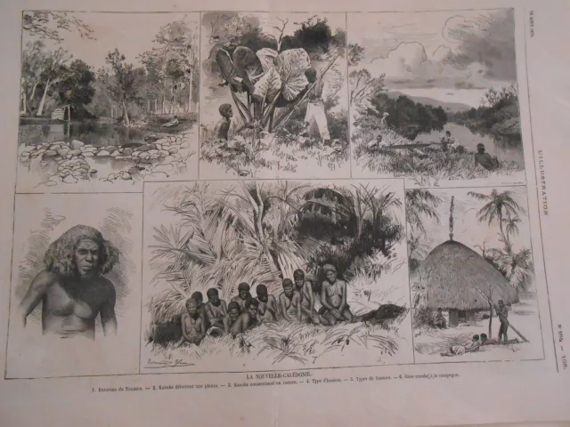 Gravure 1875 - La Nouvelle Calédonie Kanaks Nouméa Indigènes Case
