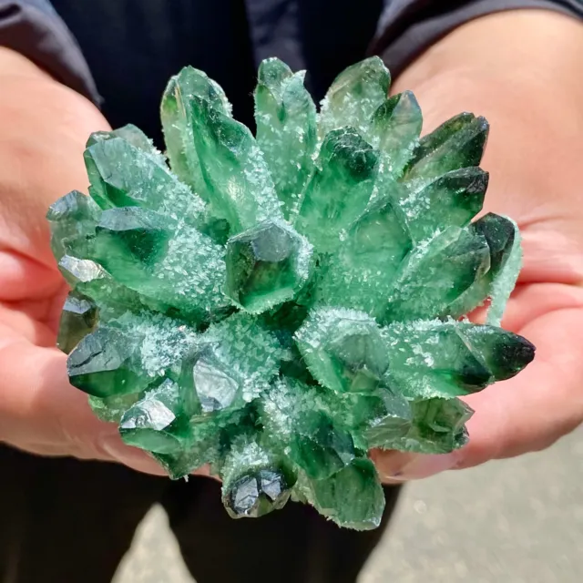 307G  New Find Green Phantom Quartz Crystal Cluster Mineral Specimen Healing