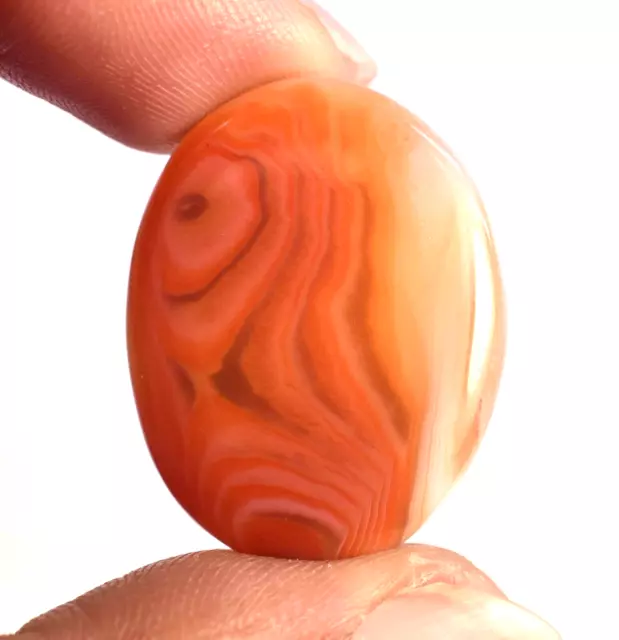 19.55 Ct Natural Orange Polished Brazilin Carnelian Agate Gemstone Certified