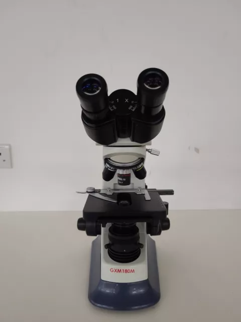GX Microscopes Gxm 180M Séries Microscope Avec 4 X Objectifs - SP40/0.65 Labo