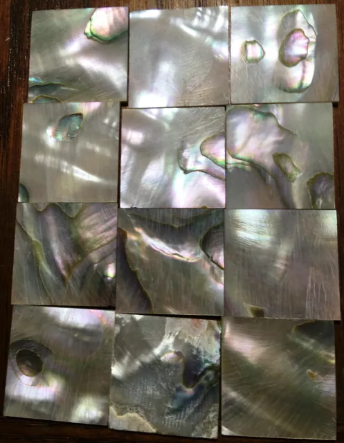 29.3 grams (12pcs) Abalone Fretboard Inlay NOS Gibson Kalamazoo Factory Lot-3 29.3 grams (12pcs) Abalone Fretboard Inlay NOS Gibson Kalamazoo Factory Lot-3
