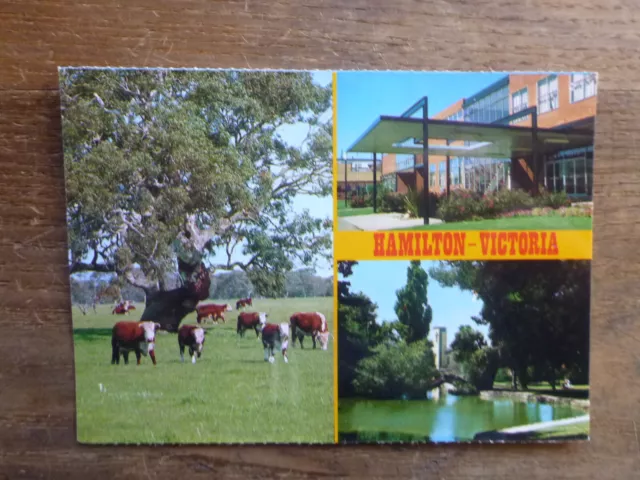 Old Australian Postcard- Hamilton, Vic 3 Views