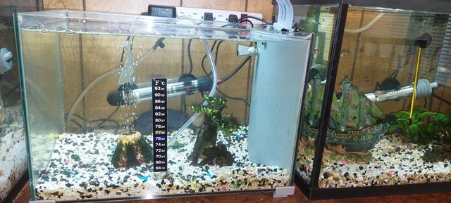 5 Gallon Top Fin "Premium Glass" complete aquarium setup