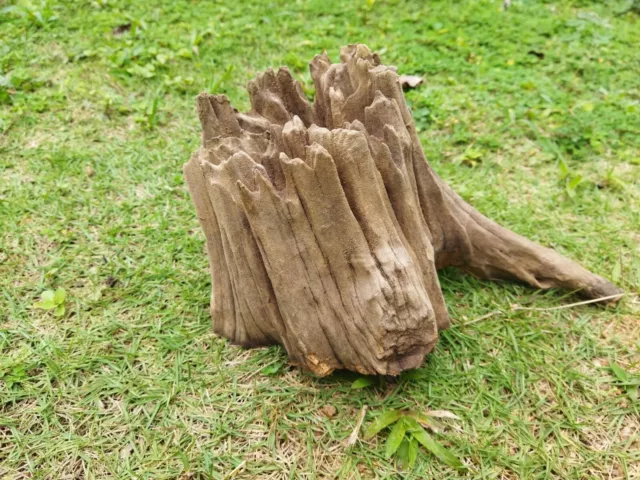 Driftwood Aquarium Fish Tank Landscape Natural Wood Reptile Real Trunk Decor