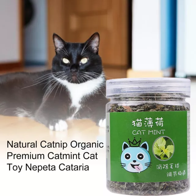 Natural Organic Cat Nip Dried Cut Catnip 2og Cat Kitten 100% Premium Treat