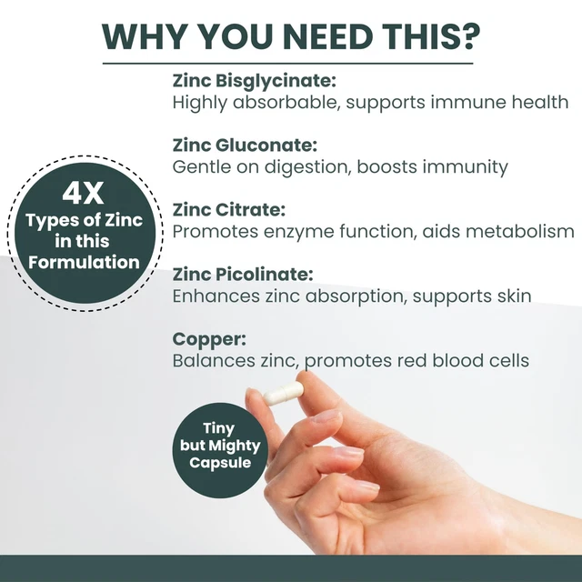 BIOMIRCO ZINC SUPPLEMENTS 30mg High Strength 4-Form Complex 120 ...