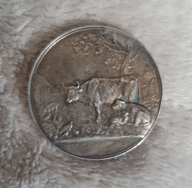 Médaille En Argent poids 36g