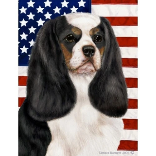 Patriotic (D2) House Flag - Tri Cavalier King Charles Spaniel 32048