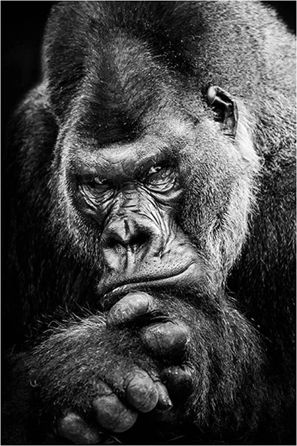 UK Gorilla, Vollbohrer, quadratische Diamanten, Diamant-Malset