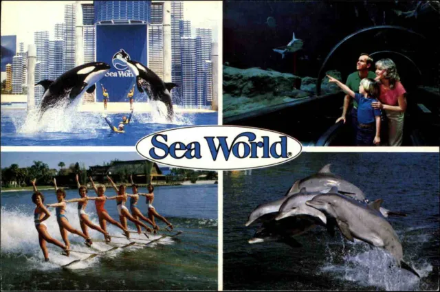 US-Postcard Postkarte SEA WORLD Orlando Florida Killer Wal Delfine Akrobatik