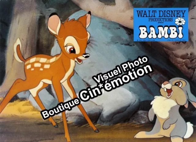 13 Photos 9 5/16x11 13/16in Bambi, Walt Disney (1942) James Algar Be
