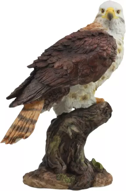 Gifts & Decor Ebros Realistic Wildlife Red Tailed Hawk Perching On Tree Stump St