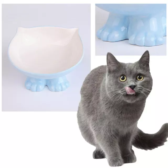 Tilted Vertebrae Protecting Ceramic Pet Bowl Slanted Mouth D9R7 Raised Cat Y2M4