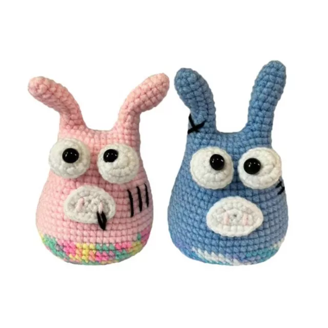 Crochet Starter Kit, Cute Plant Crochet Kit for Beginners, Gift