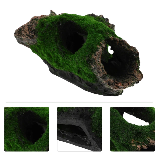 Cachette De Tortue Trou D'esquive Terrarium En Verre Animal