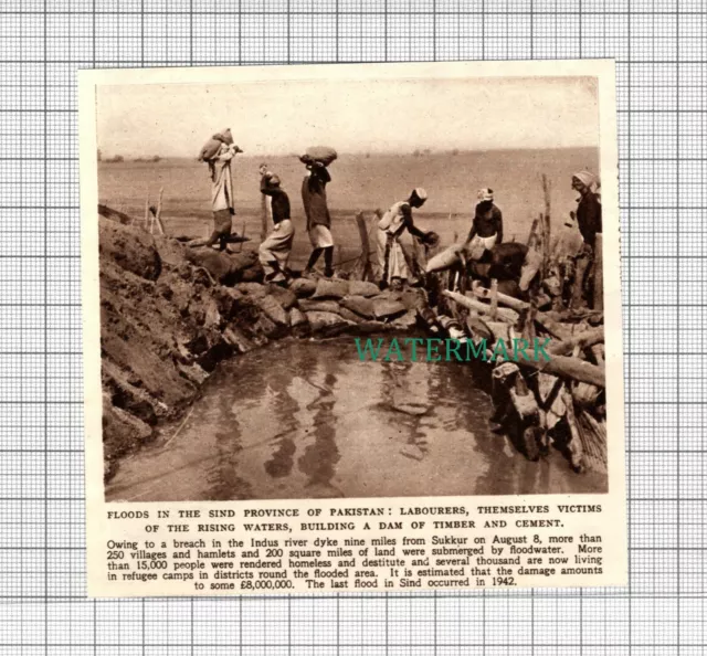 C2759) Sind Province of Pakistan Floods - 1948 Clip