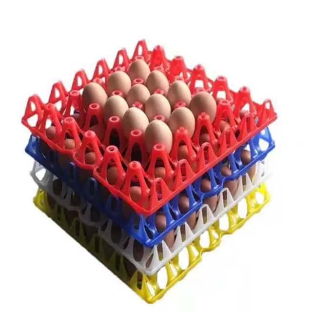 Plastic Egg Tray can hold thirty eggs Egg storage box Easy to store and cleS Jw