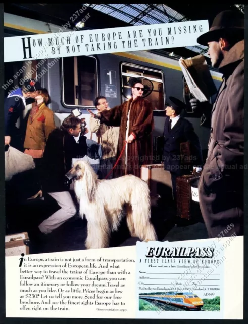 1989 Afghan Hound photo Eurailpass train pic vintage print ad