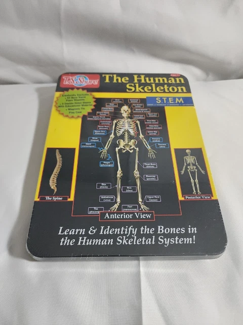 T.S. Shure The Human Skeleton Magnetic Science Tin Stem Activity Age 7+