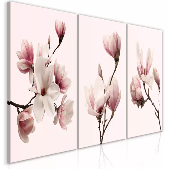 Blumen Rosa Magnolie Natur VLIES LEINWAND DEKO BILDER WANDBILD XXL WOHNZIMMER