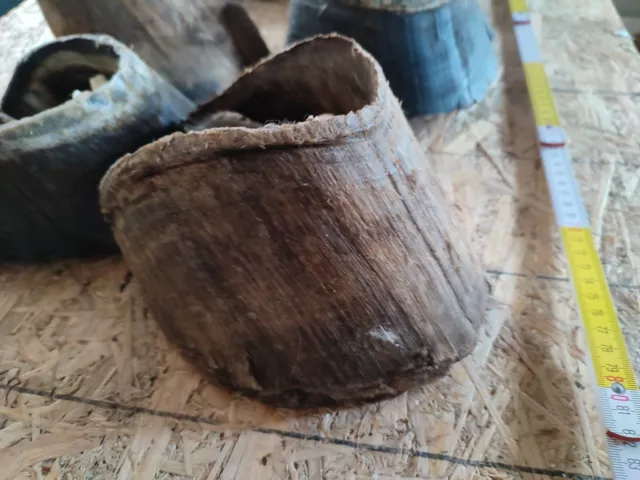 Auténtico Pferdehufe Pezuñas Hufen Del Caballo Preparado Veterinaria Medicina