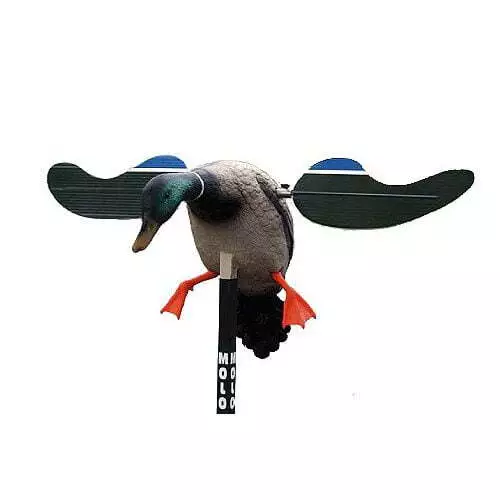 Mojo Baby Mojo Drake Decoy