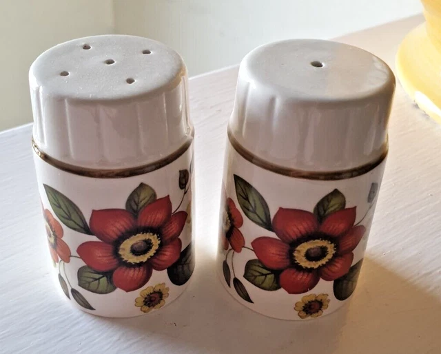 Vintage Salt & Pepper shaker pots - Royal Worcester Palissy Clovelly - Floral