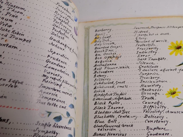 The LANGUAGE of FLOWERS Margaret Pickston Flower Names & Their Meanings Gorgeous 3