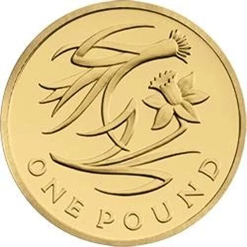 2013 UK £1 One Pound Coin Floral Emblems of Wales Leek and Daffodil - Circulated