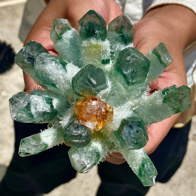 1.2LB New Find Green Phantom Quartz Crystal Cluster Mineral Specimen Healing 11