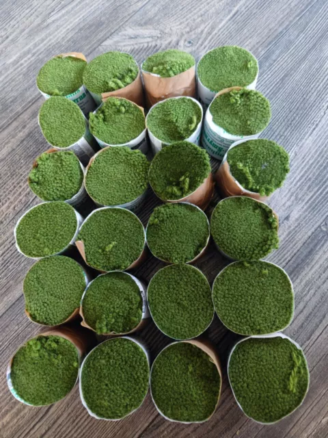 Knüpffäden, 24 Schnittpacks, waldmeister, Fein - Smyrna - Wolle ( Nr. 596 )