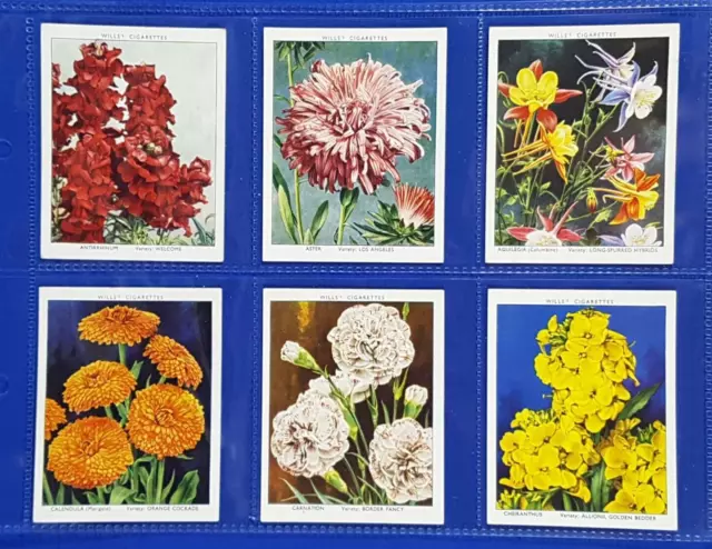 Will's Cigarette Cards GARDEN FLOWERS NEW VARIETIES (1st Series) 1938 Set of 40