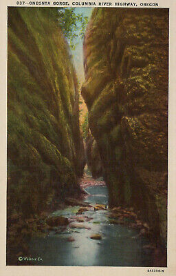 Oneonta Gorge Columbia River Highway Oregon Postcard