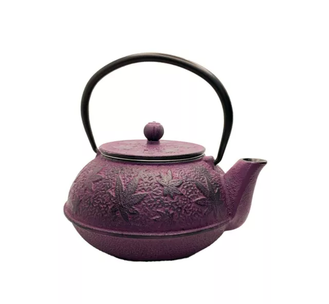 Tetera Hierro Fundido  Japonesa  600ml Rosa / Japanese Style Cast Iron Teapot