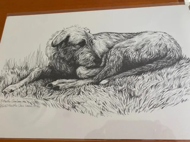 Irish Wolfhound Lying down Adult  Ltd Edition Print 11x17 By Van Loan