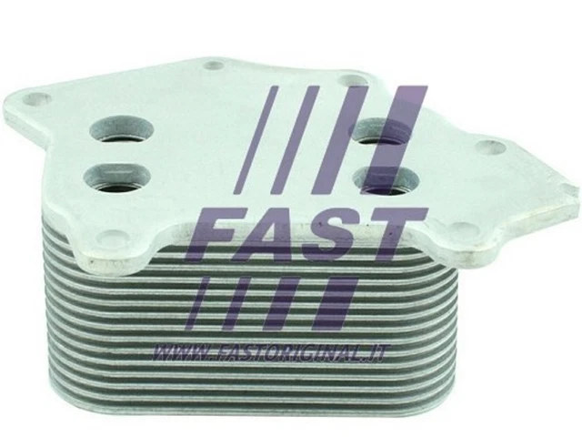 Radiatore olio FAST olio motore FT55279 per Ford Transit Connect berlina grande Tourneo