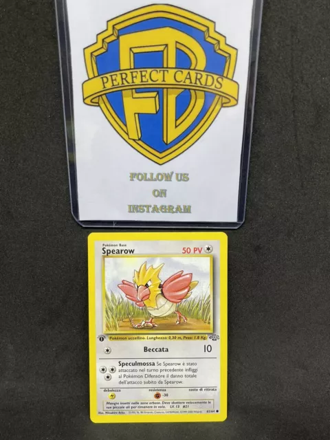 Pokémon Set Jungle 1° Edizione Spearow Comune 62/64 Nm