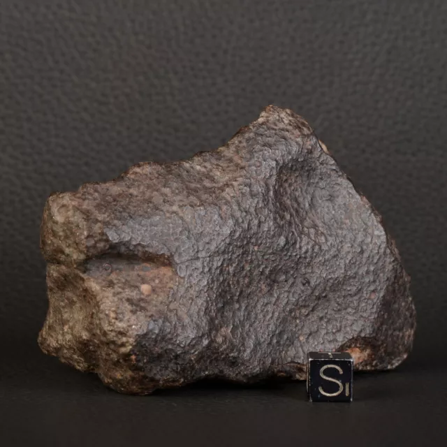 Meteorite Singola 255,96 G Nwa Condrite Non Classificati Africa D60.3-9