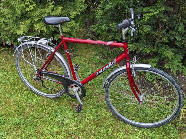 raleigh pioneer 120 bike