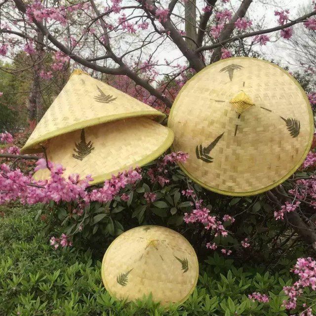 Chinese Oriental Vietnamese Straw Bamboo Sun Hat Farmer Rice best Hat D7X1 C0W2