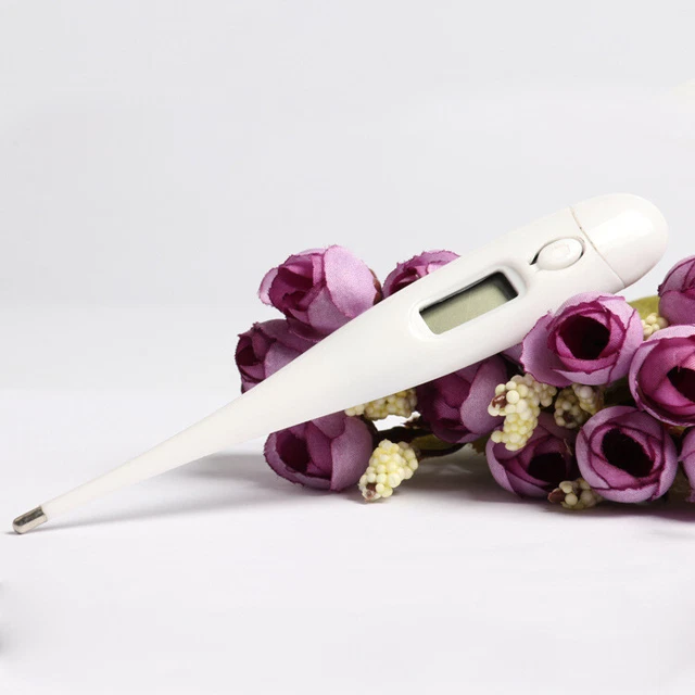 Electronic/Digital thermometer